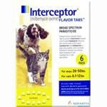 Interceptor Chew Tabs