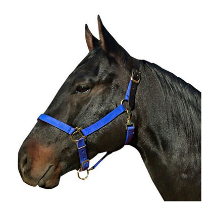Leather Crown Nylon Breakaway Halter
