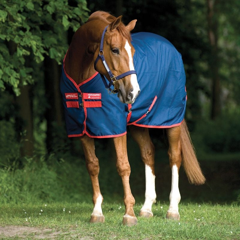 Amigo Mio Stable Sheet