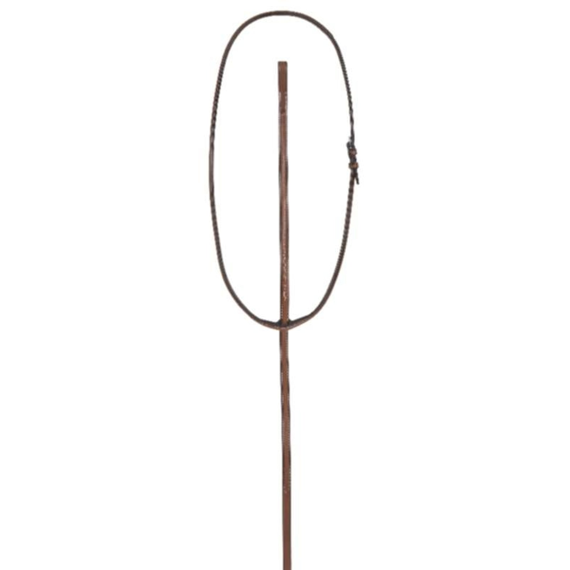 Pessoa Fancy Standing Martingale