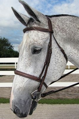 HDR Pro Mono Crown Fancy Padded Bridle