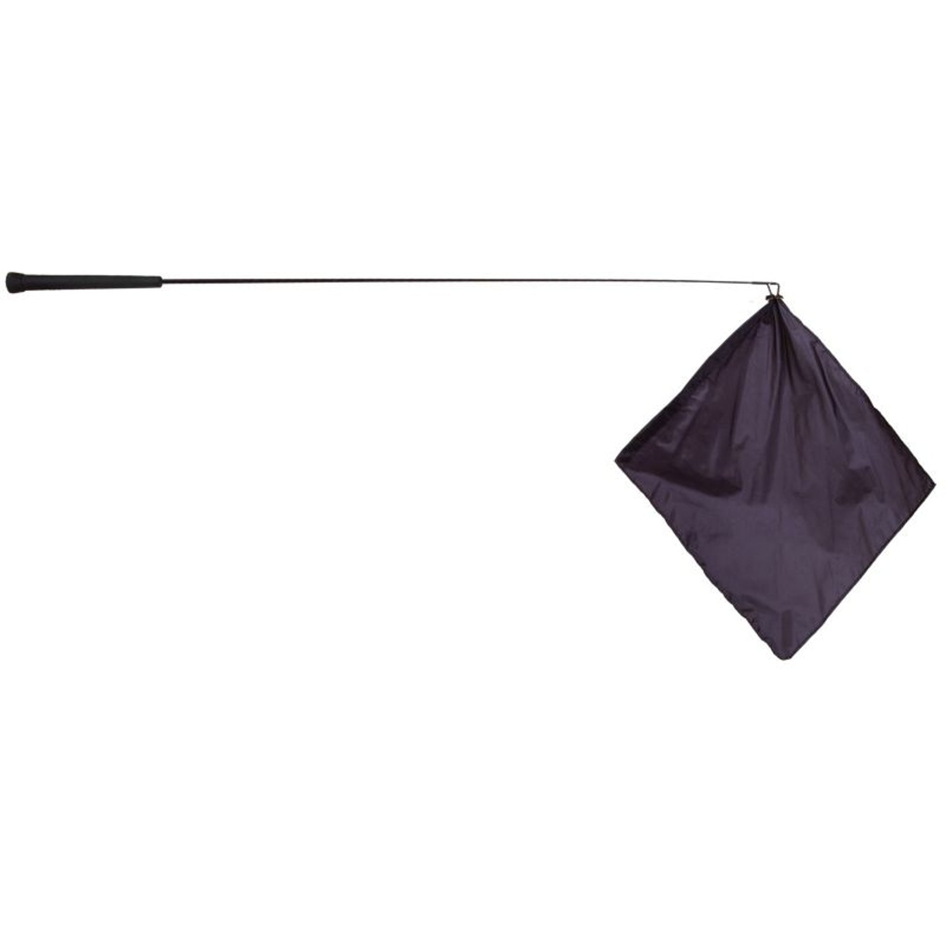 Mustang Training Flag