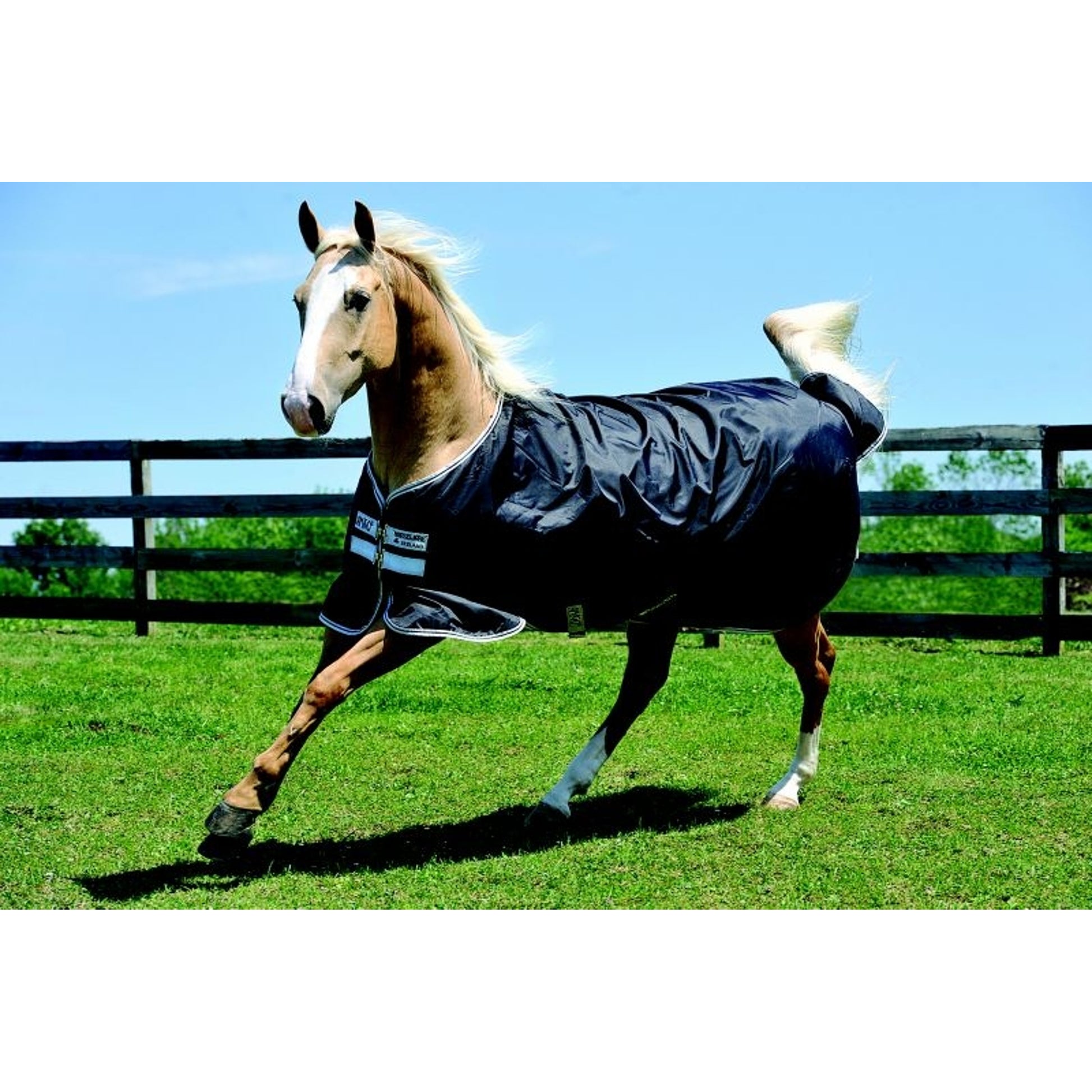 Amigo Stock Horse Turnout Blanket Medium 200g