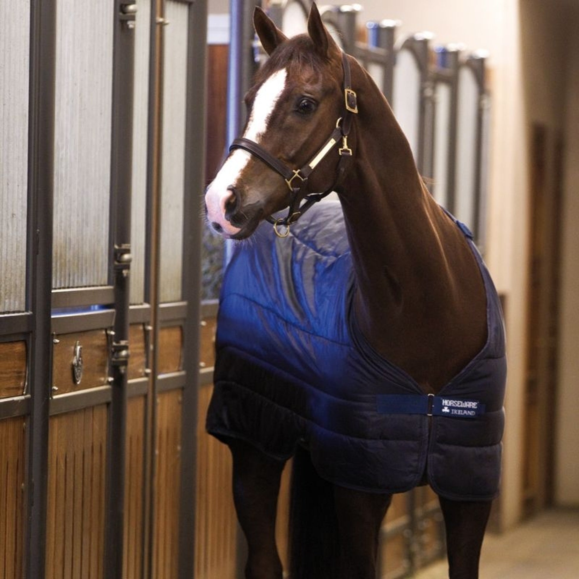 Horseware Blanket Liner 300g