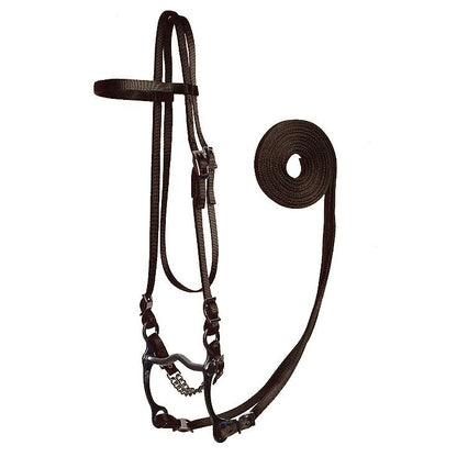 Fabtron Nylon Bridle with Bit