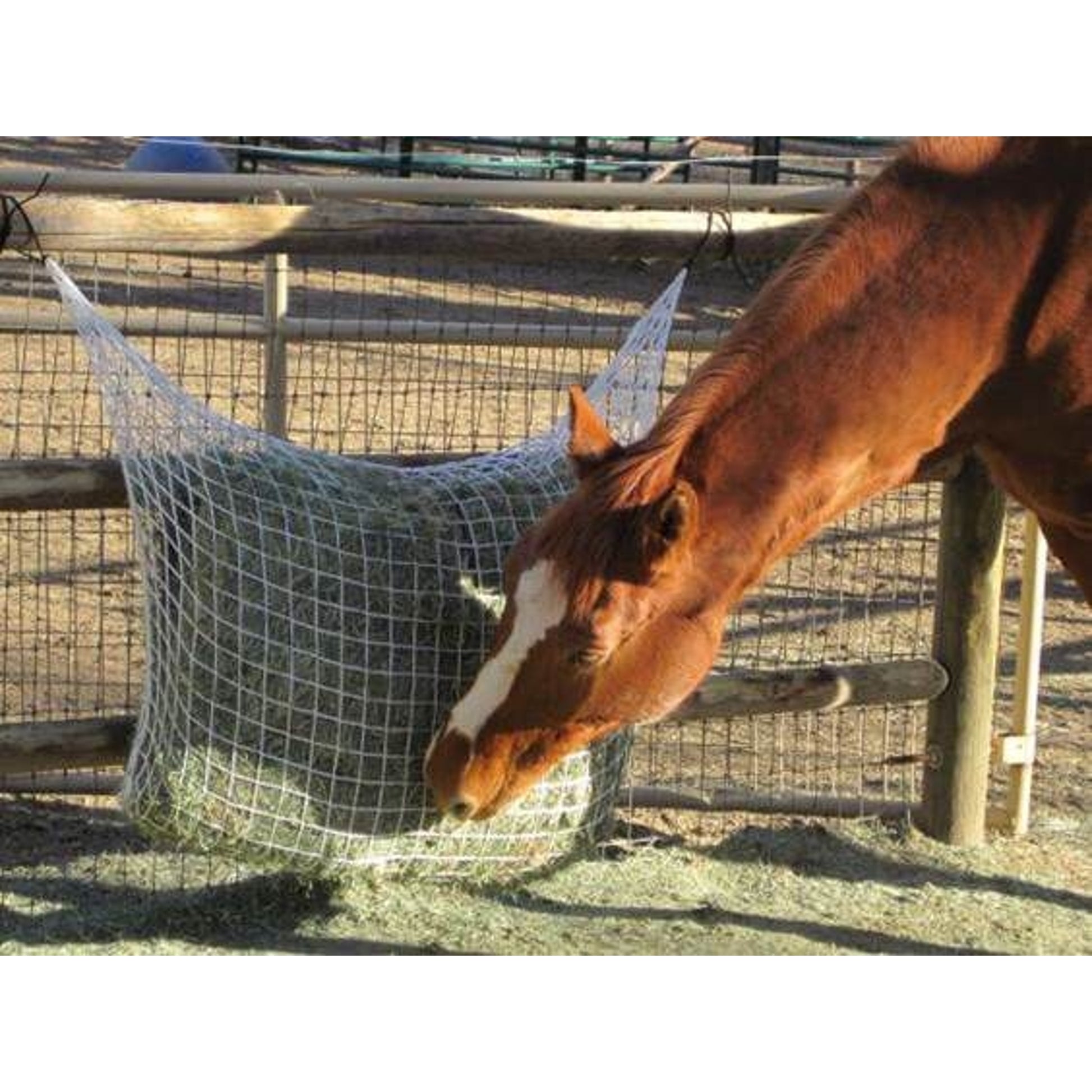 Freedom Feeder Extended Day Slow Feed Hay Net