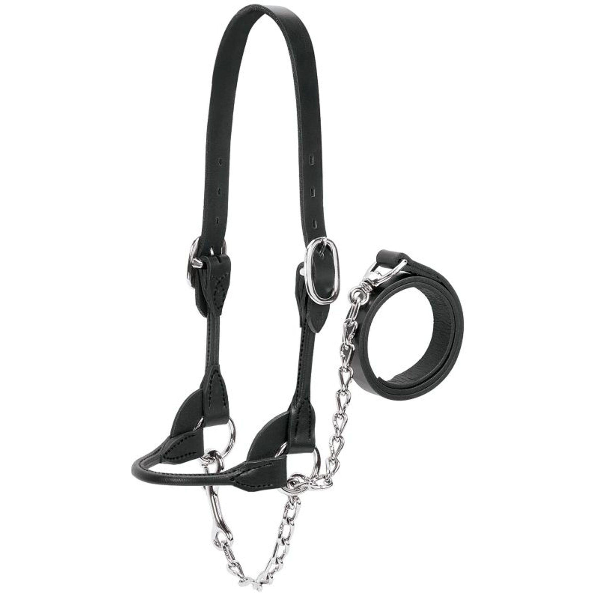 Dairy Beef Rounded Show Halter