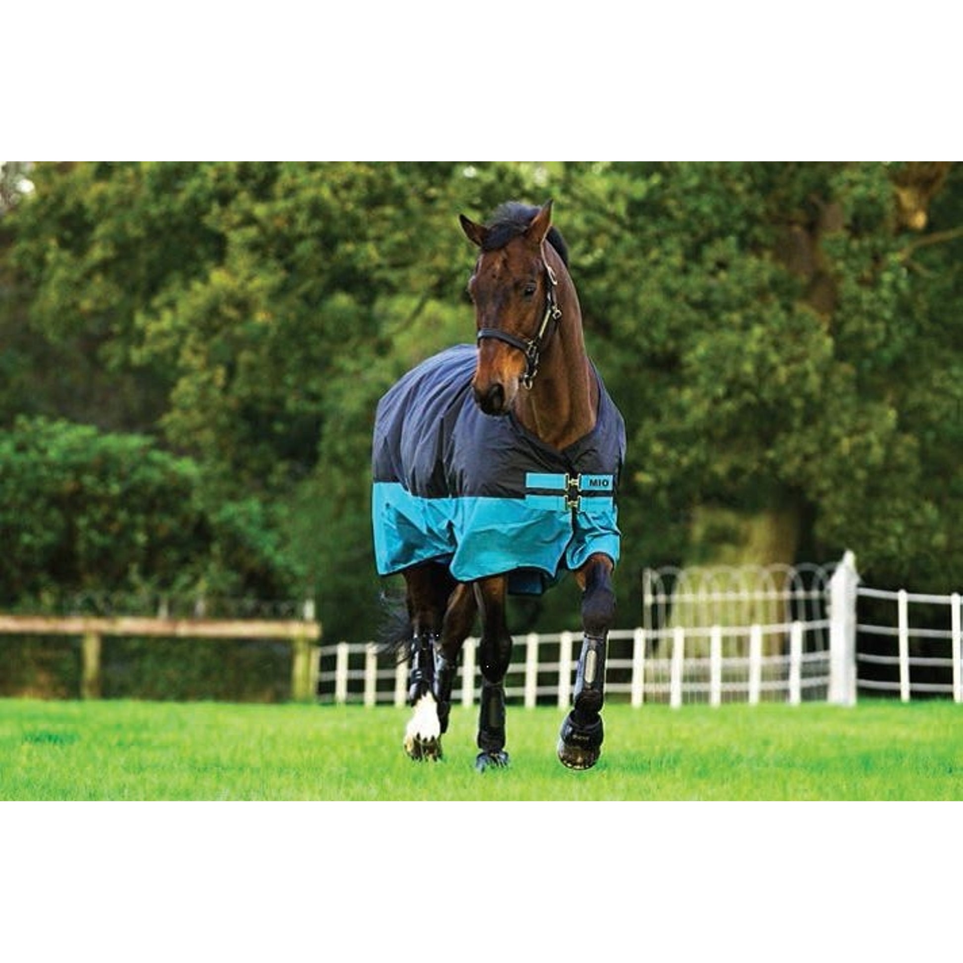 Mio Turnout Sheet Lite