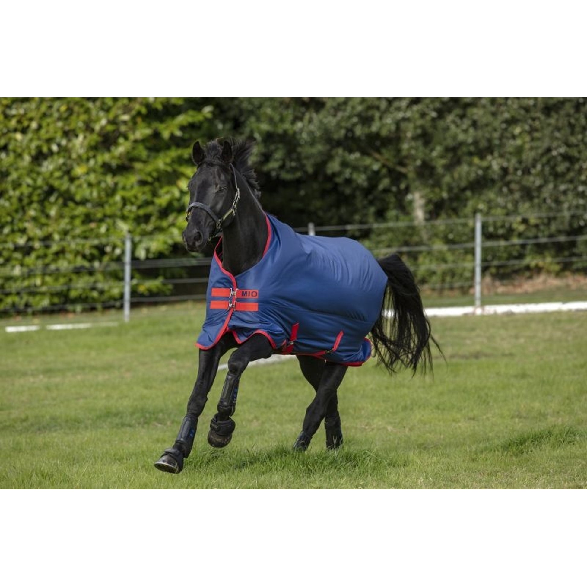 Mio Turnout Blanket Medium