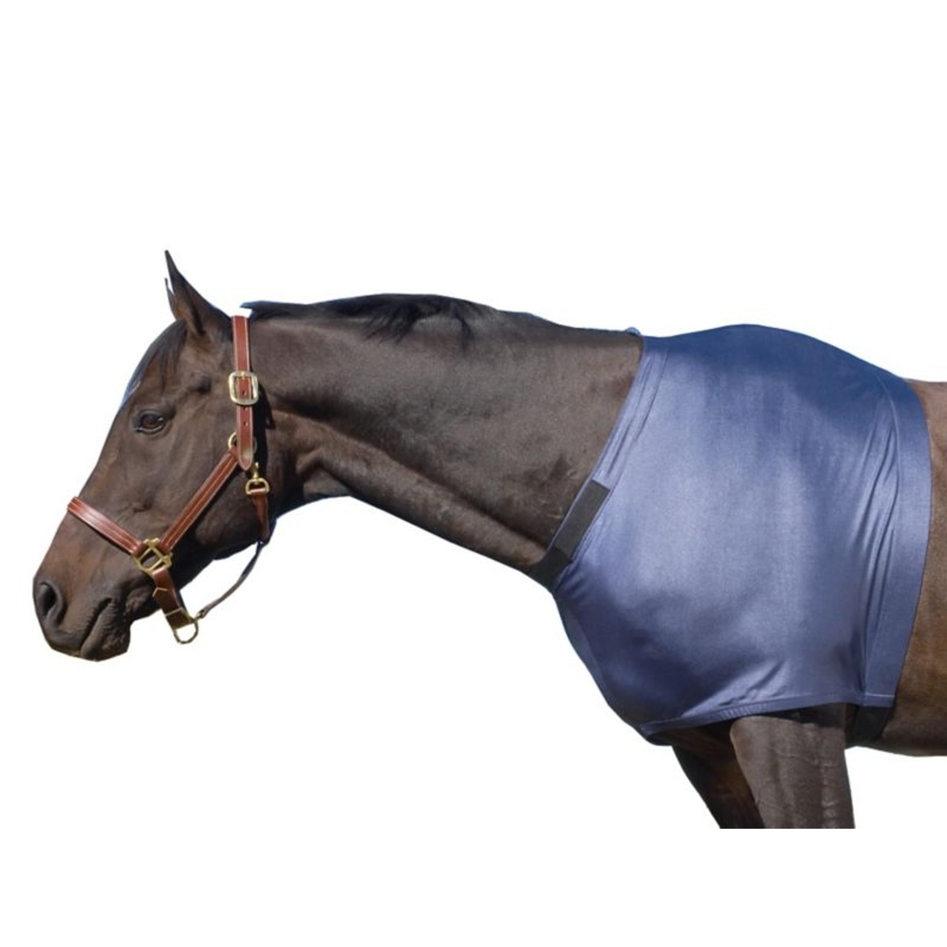 Equi-Essentials Stretch Shoulder Guard