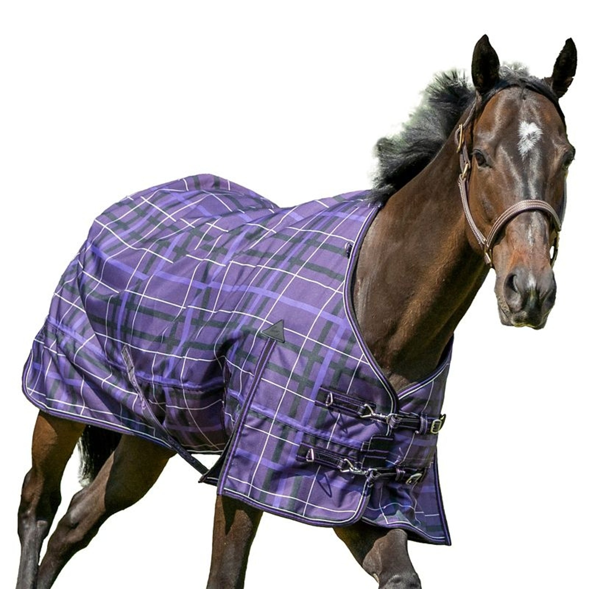 Pessoa Alpine Turnout Sheet 70 Clay/Amethyst