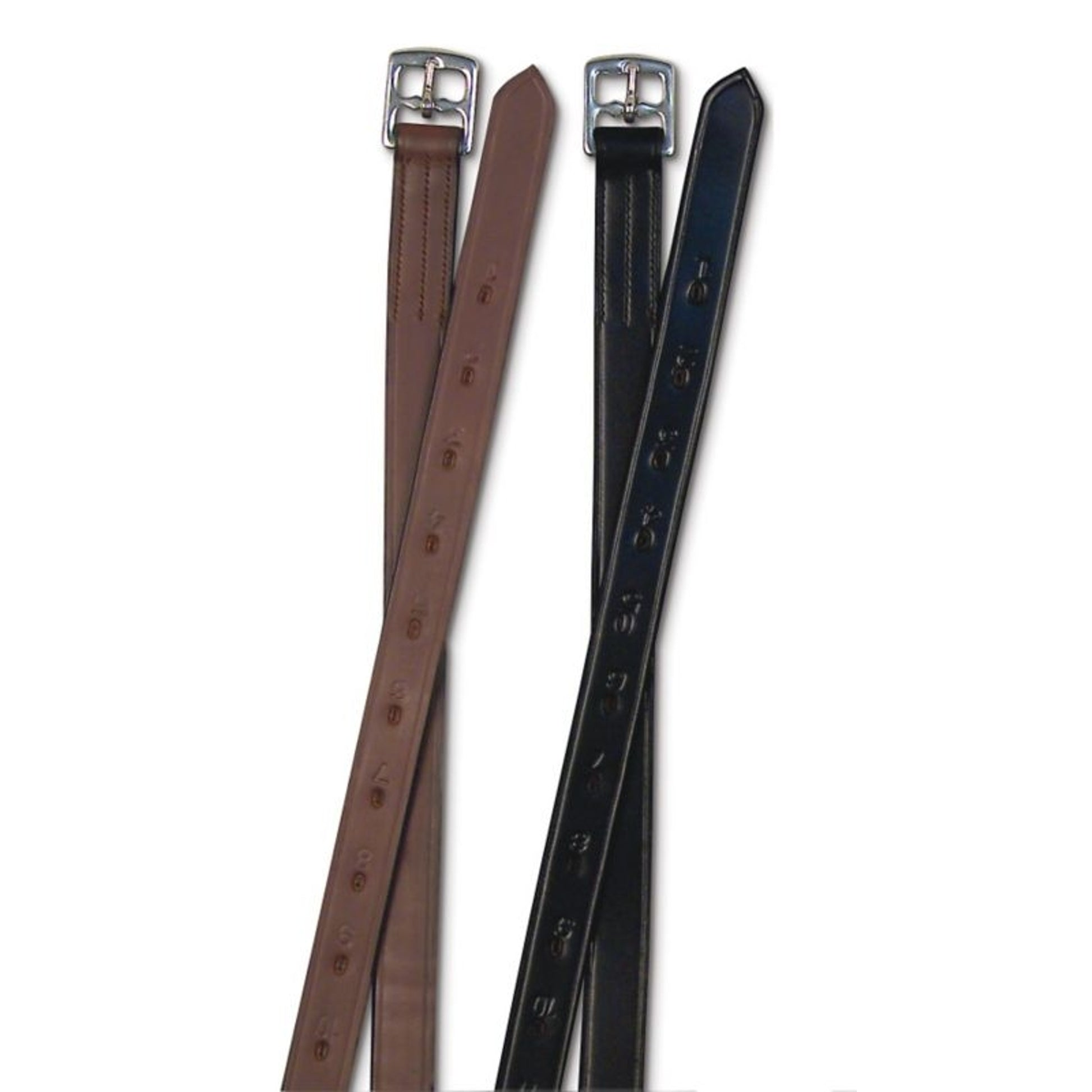 Passport 1 inch Stirrup Leathers