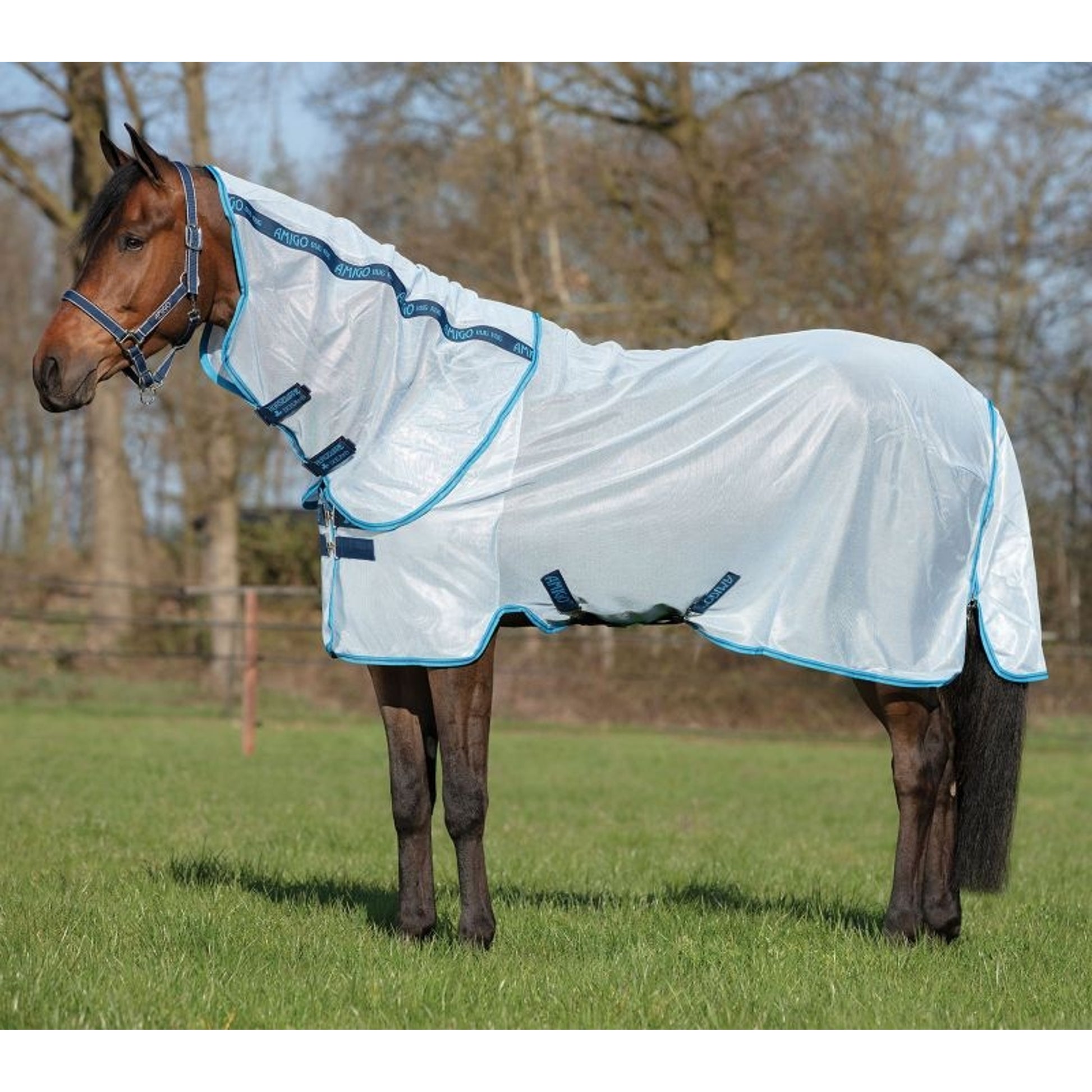 Amigo Bug Rug Flysheet