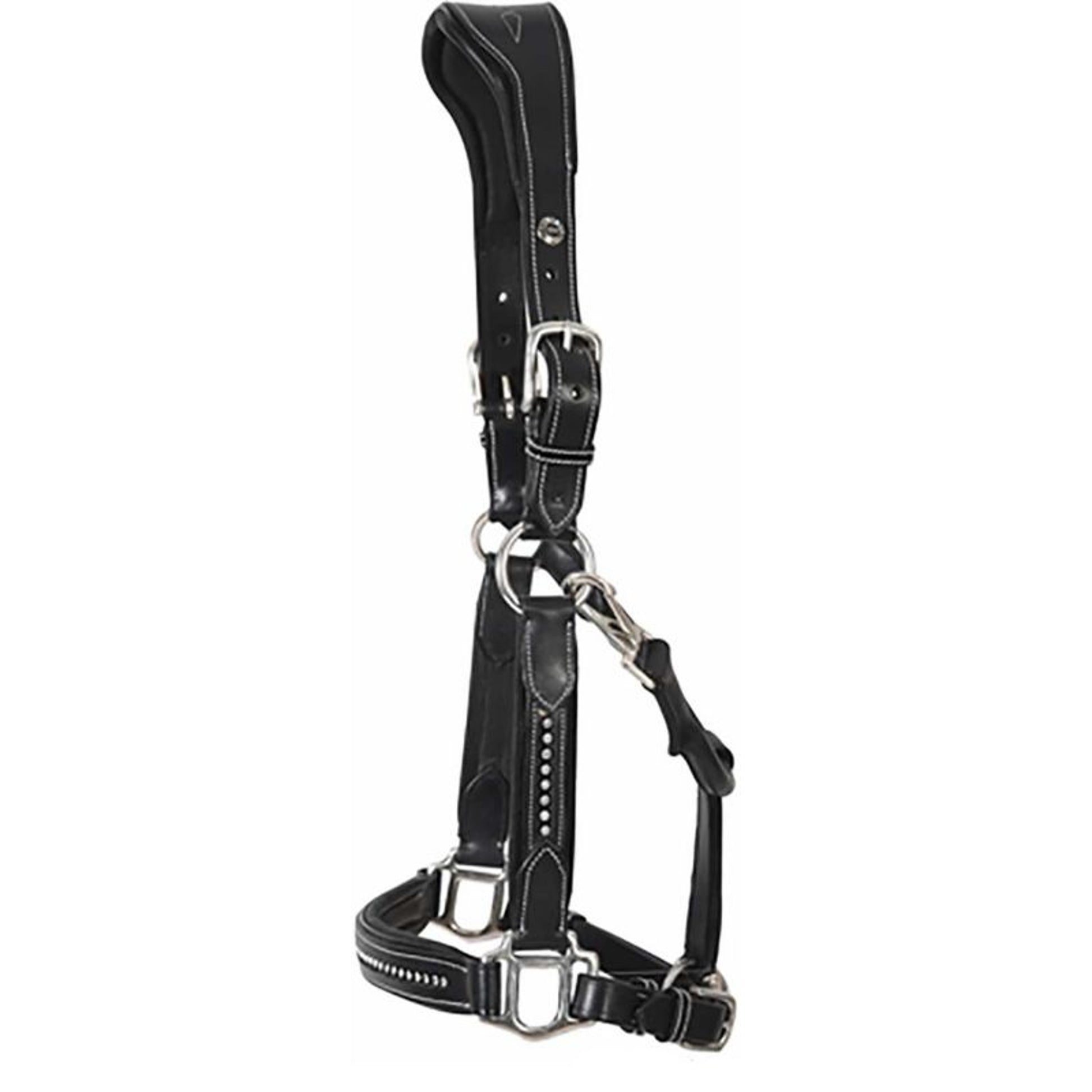 Henry de Rivel Padded Crystal Halter