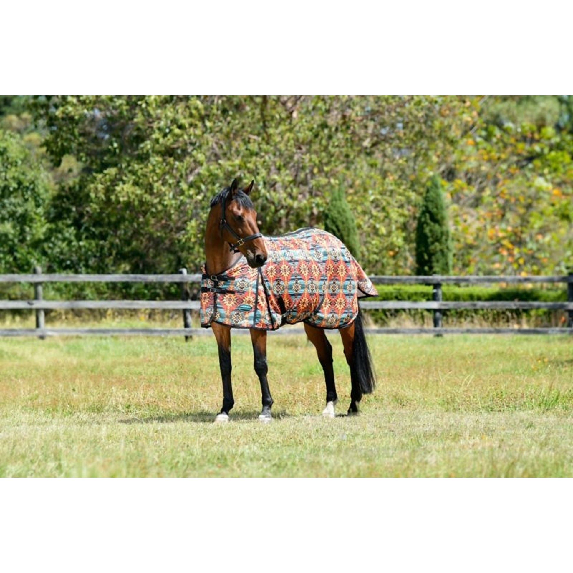 Weatherbeeta ComFitec Essential Mesh II Standard Neck Fly Sheet