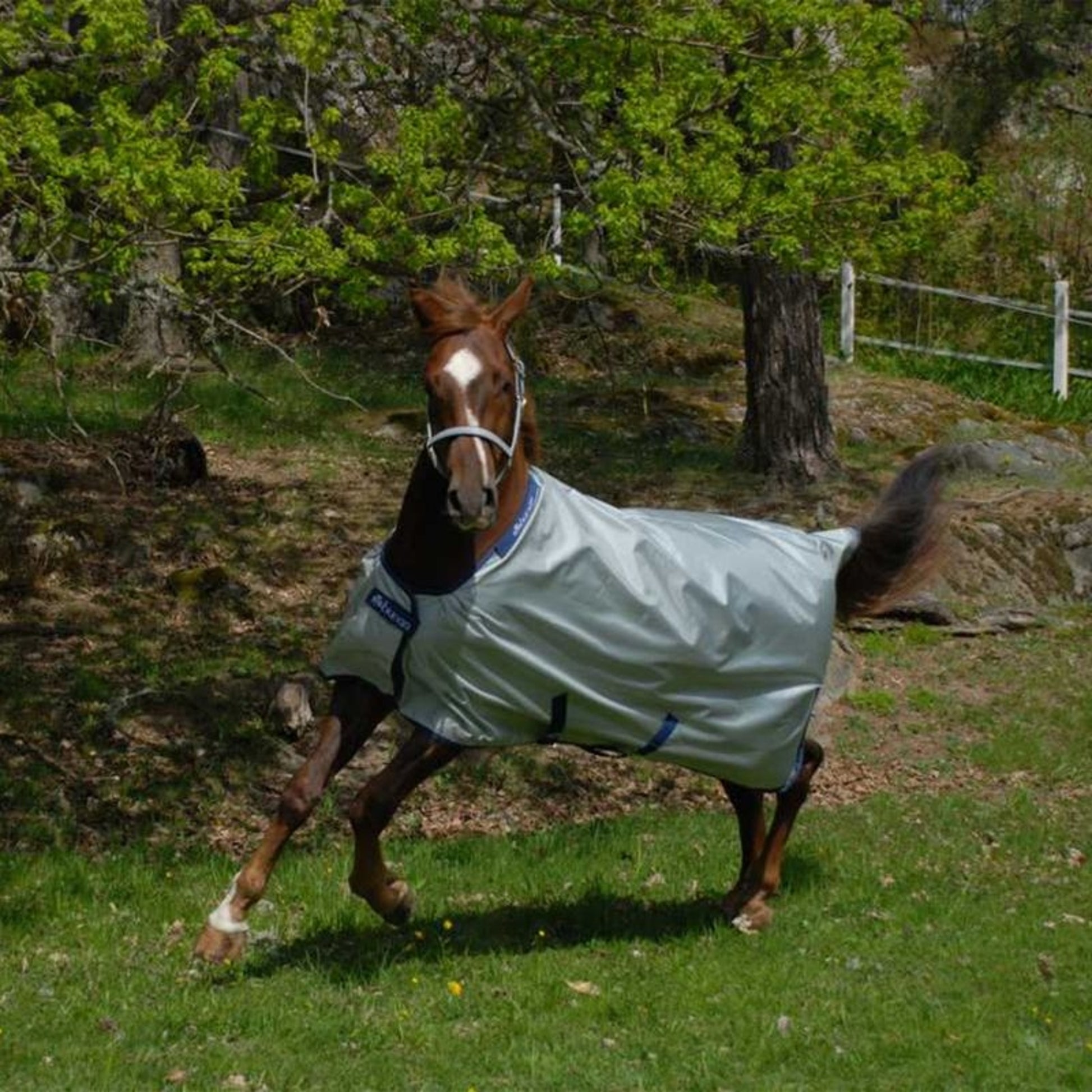 Bucas Light Power Turnout Blanket