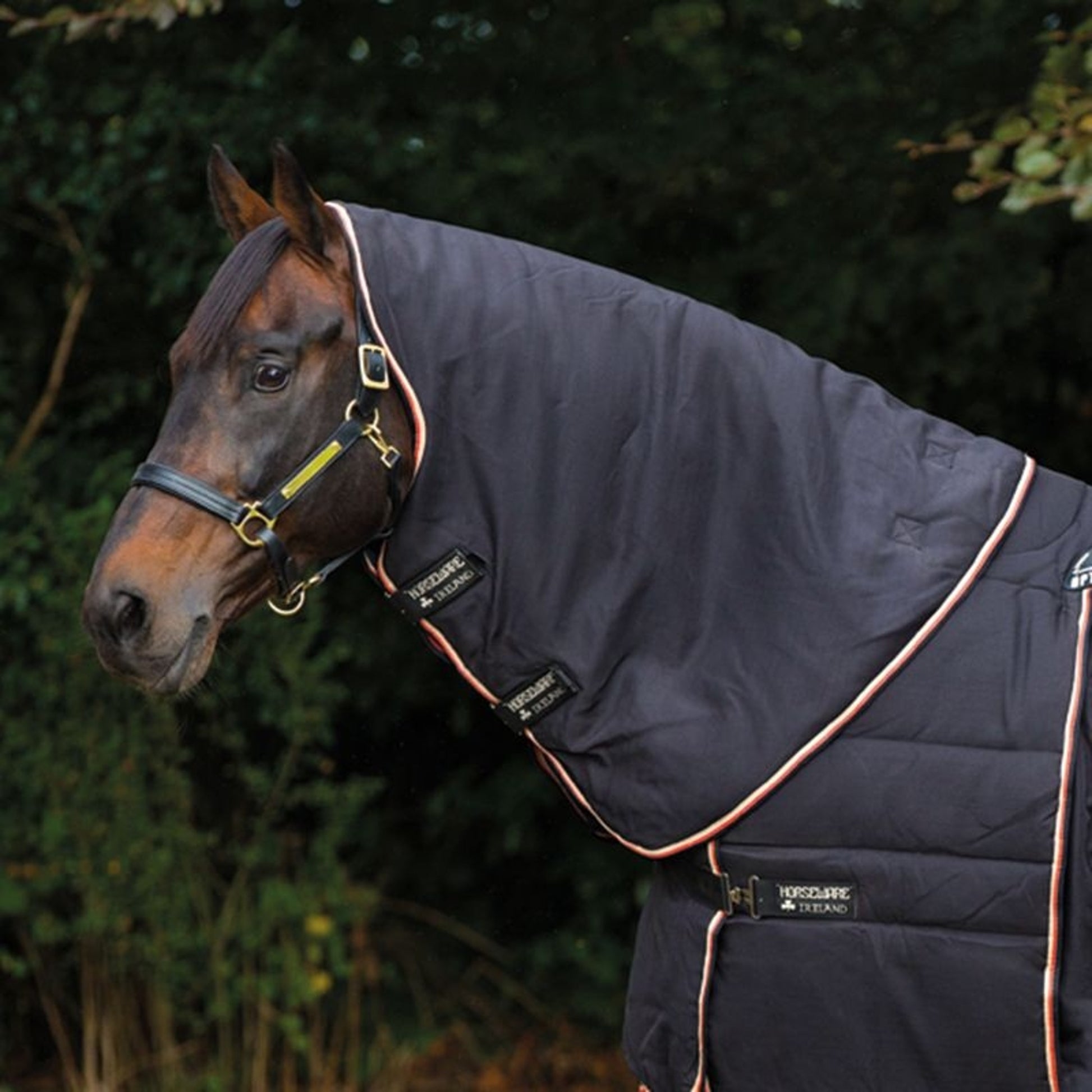 Rambo Optimo Stable Hood
