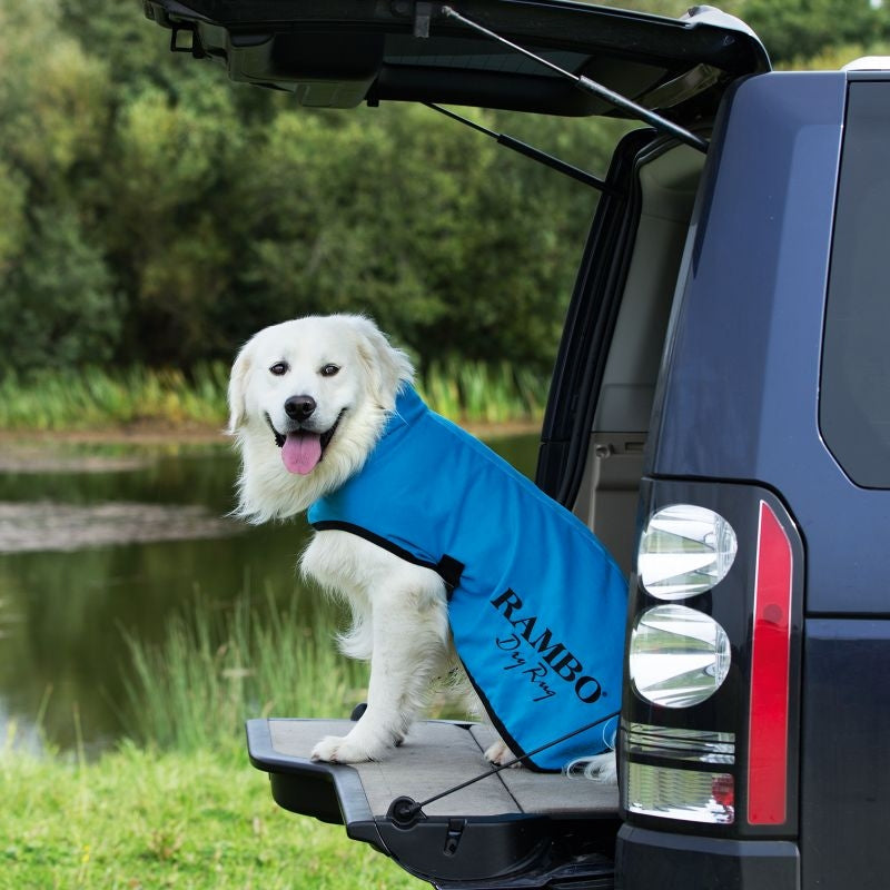 Rambo Dog Dry Rug Blue/Black