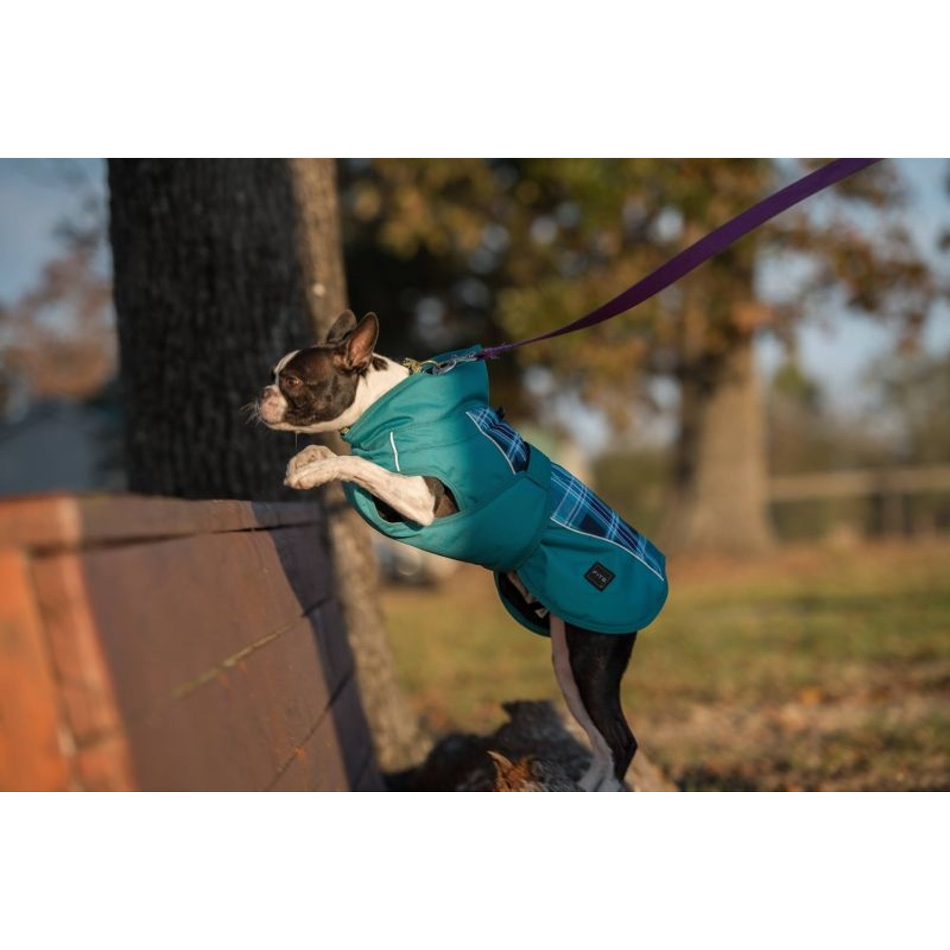 FITS All Weather Dog Coat