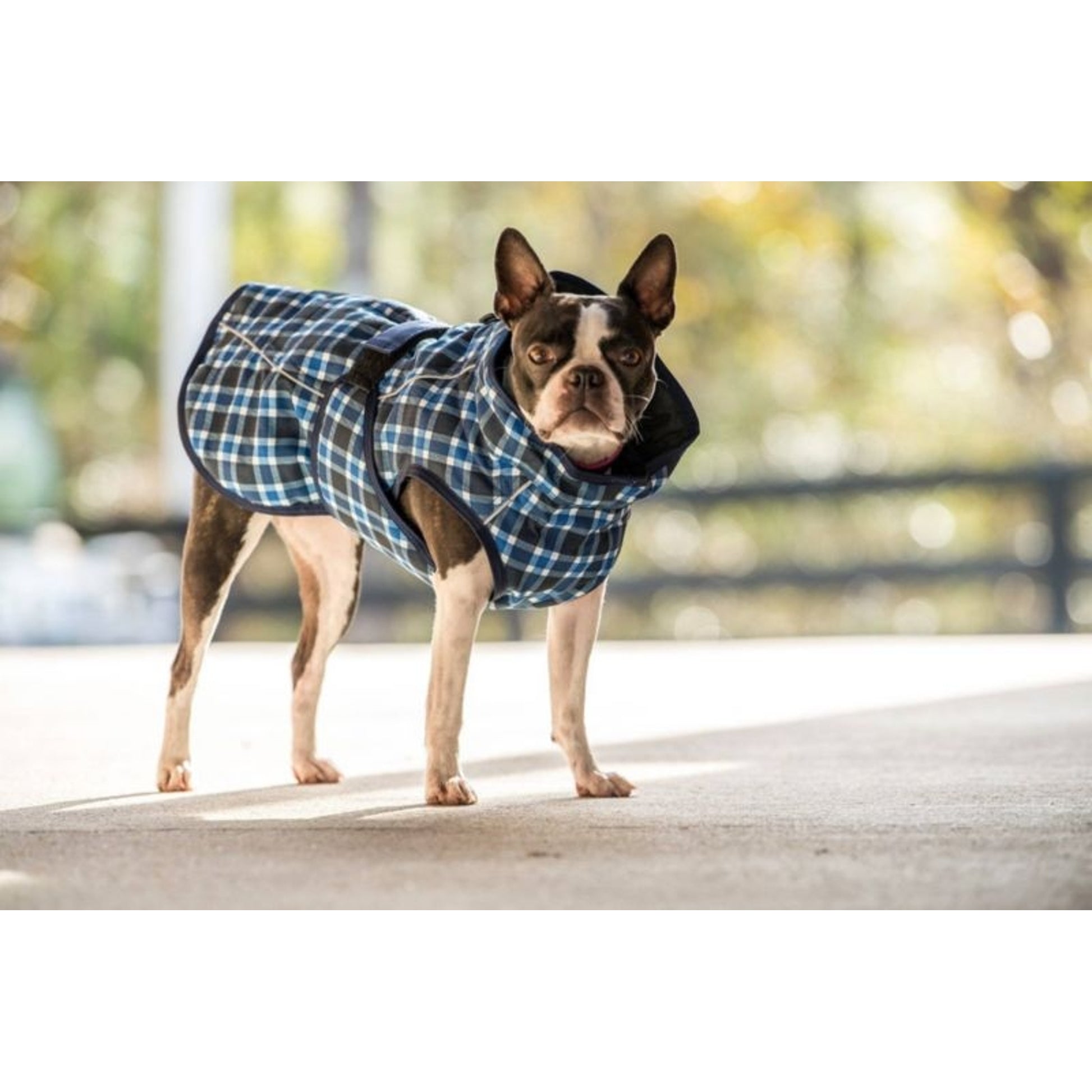 FITS All Weather Dog Coat
