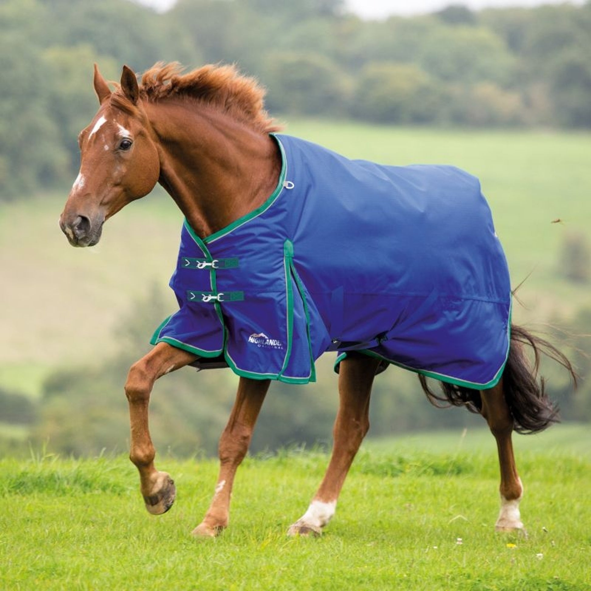 Shires Highlander Plus 200 Standard Neck Blanket