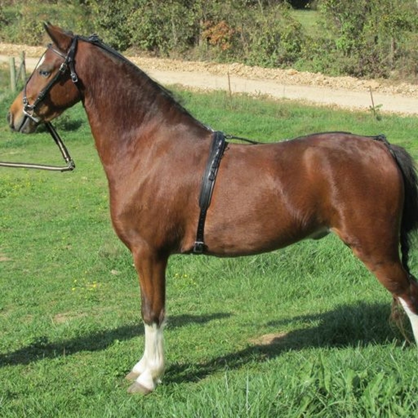 TE023593_P.jpg
