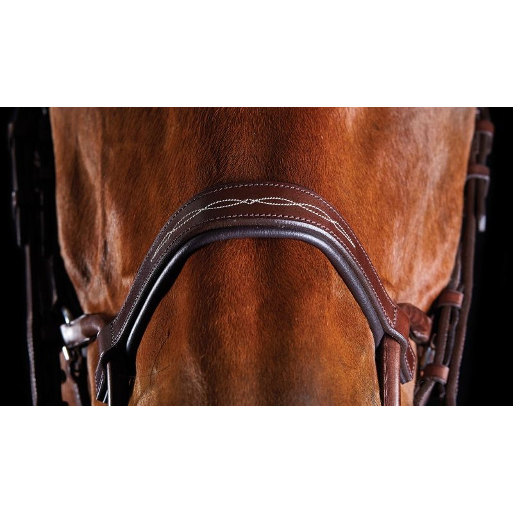 Collegiate ComFiTec Fancy Stitch Bridle