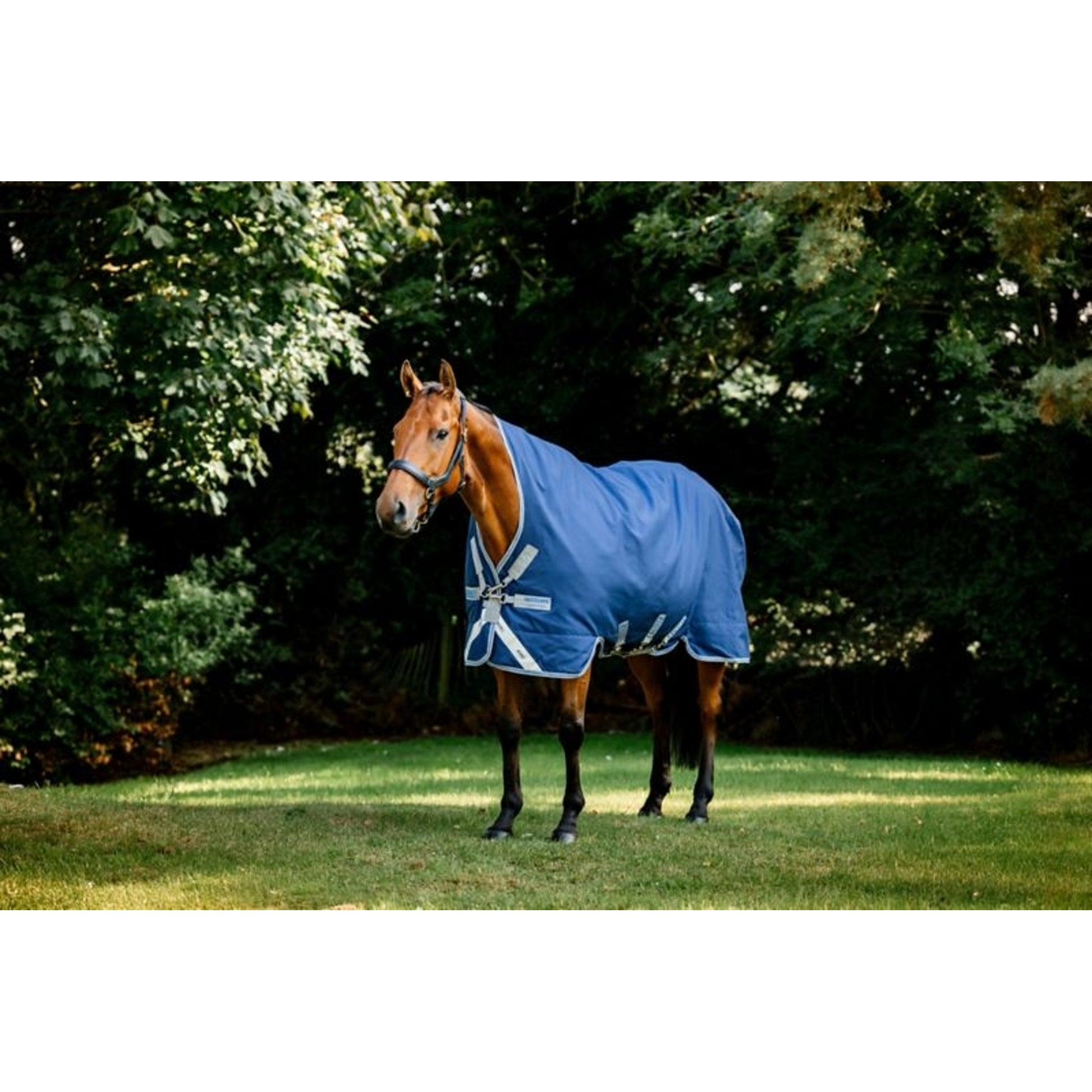 Rhino Wug Turnout Blanket 100g