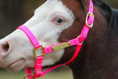 Ozark Mini/Pony Personalized Nylon Halter
