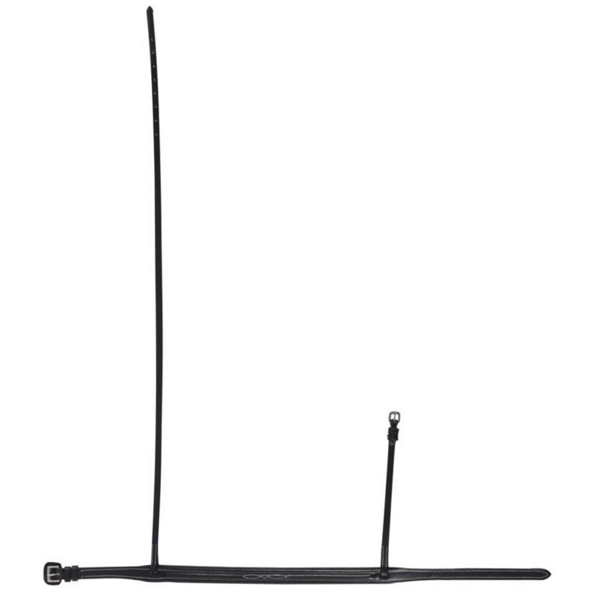 HDR Traditional Noseband