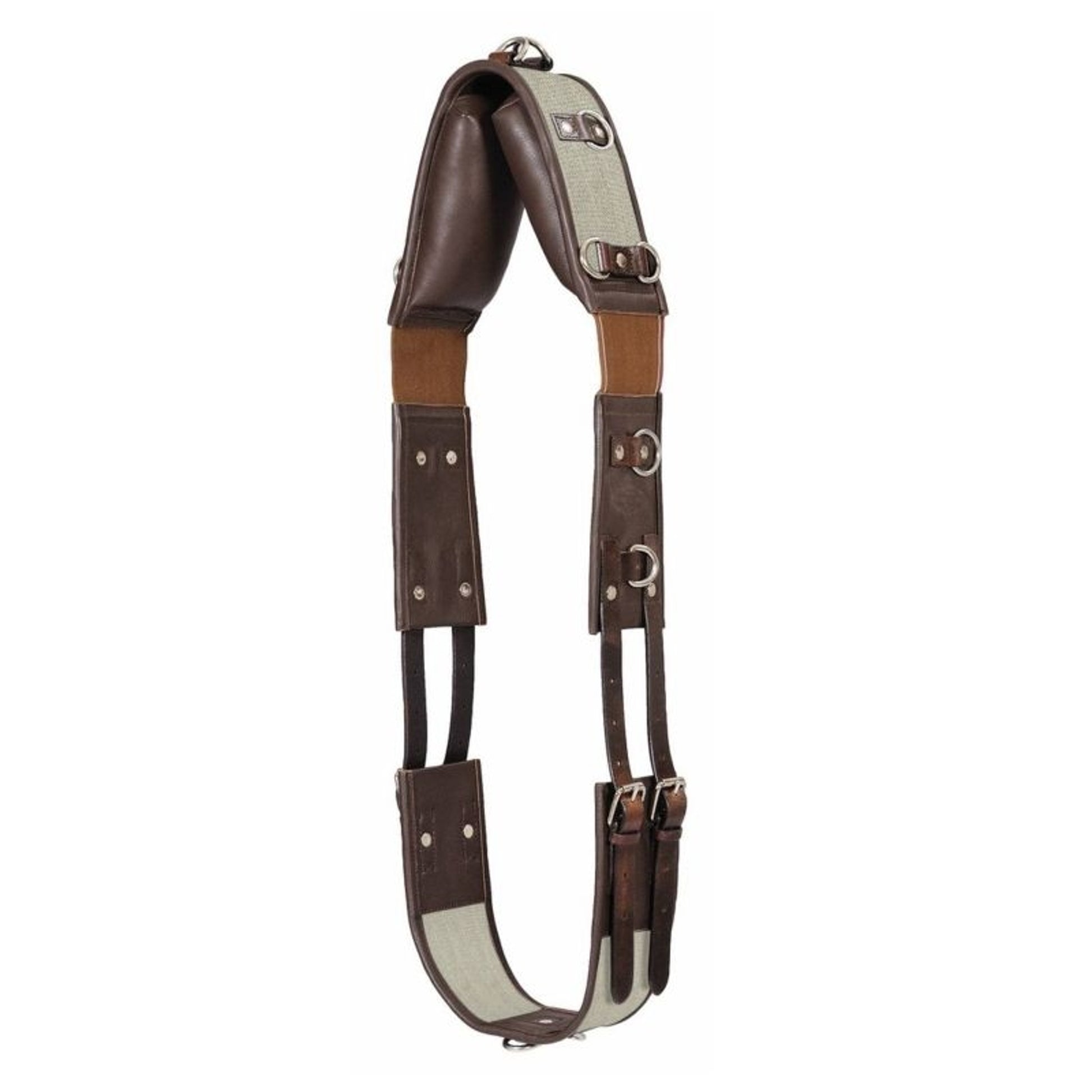 Henri de Rivel Training Surcingle