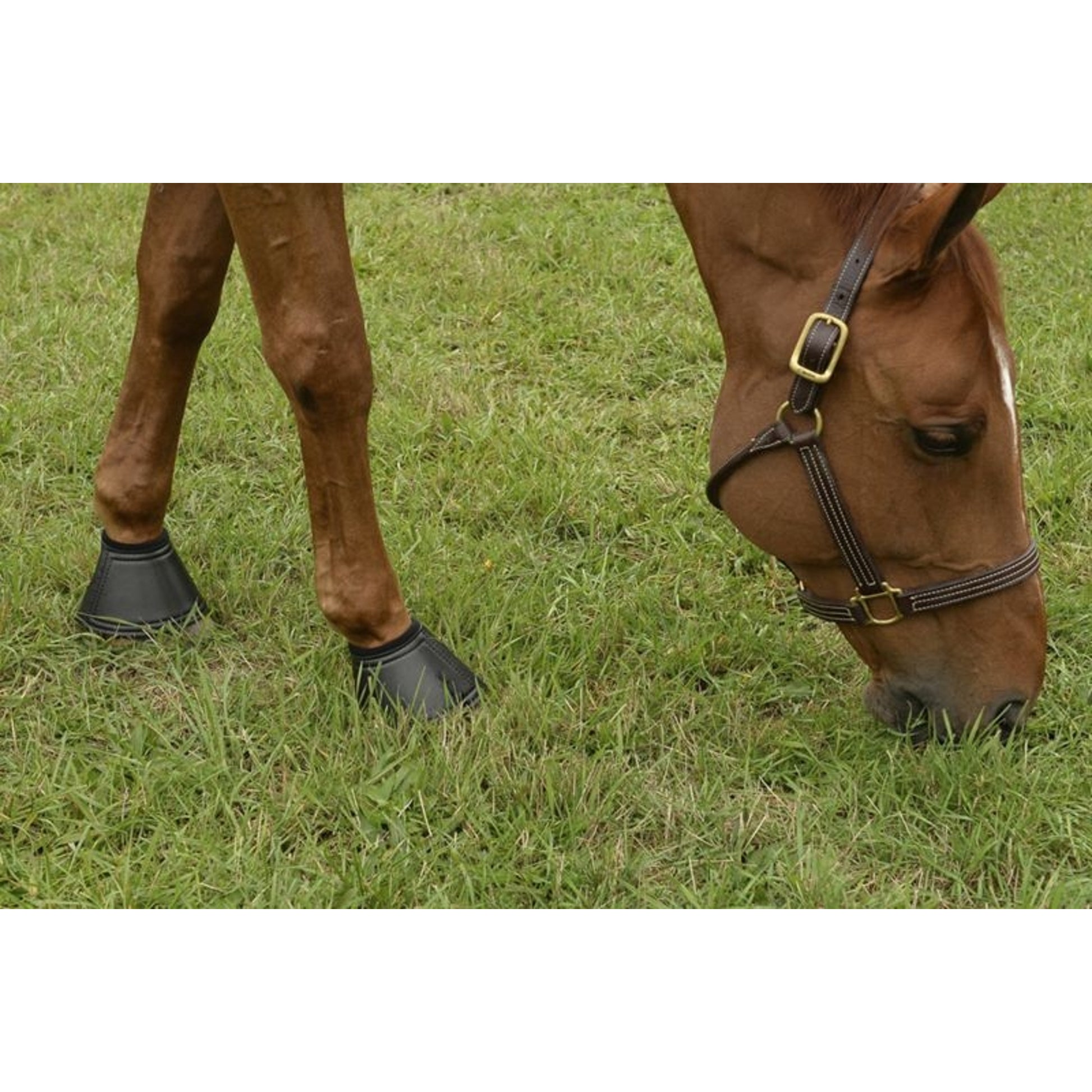 EquiFit Essential Bell Boots