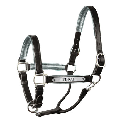 Perri's Personalized Metallic Padded Leather Halter