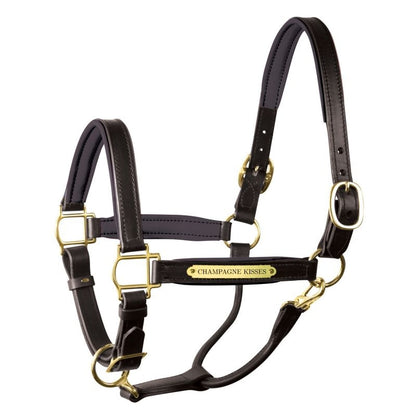 Perri's Personalized Padded Leather Halter
