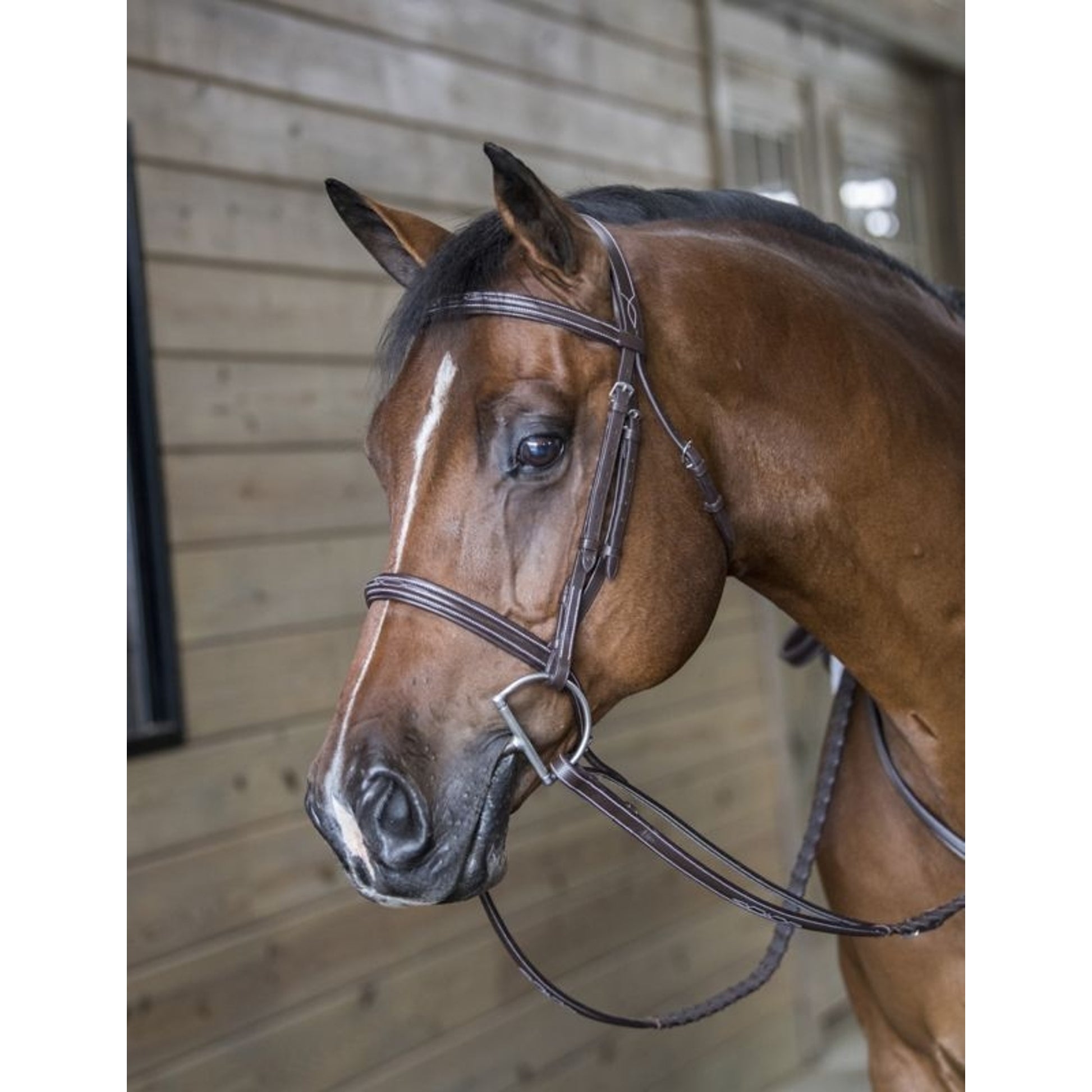 DaVinci Fancy Raised Comfort Bridle