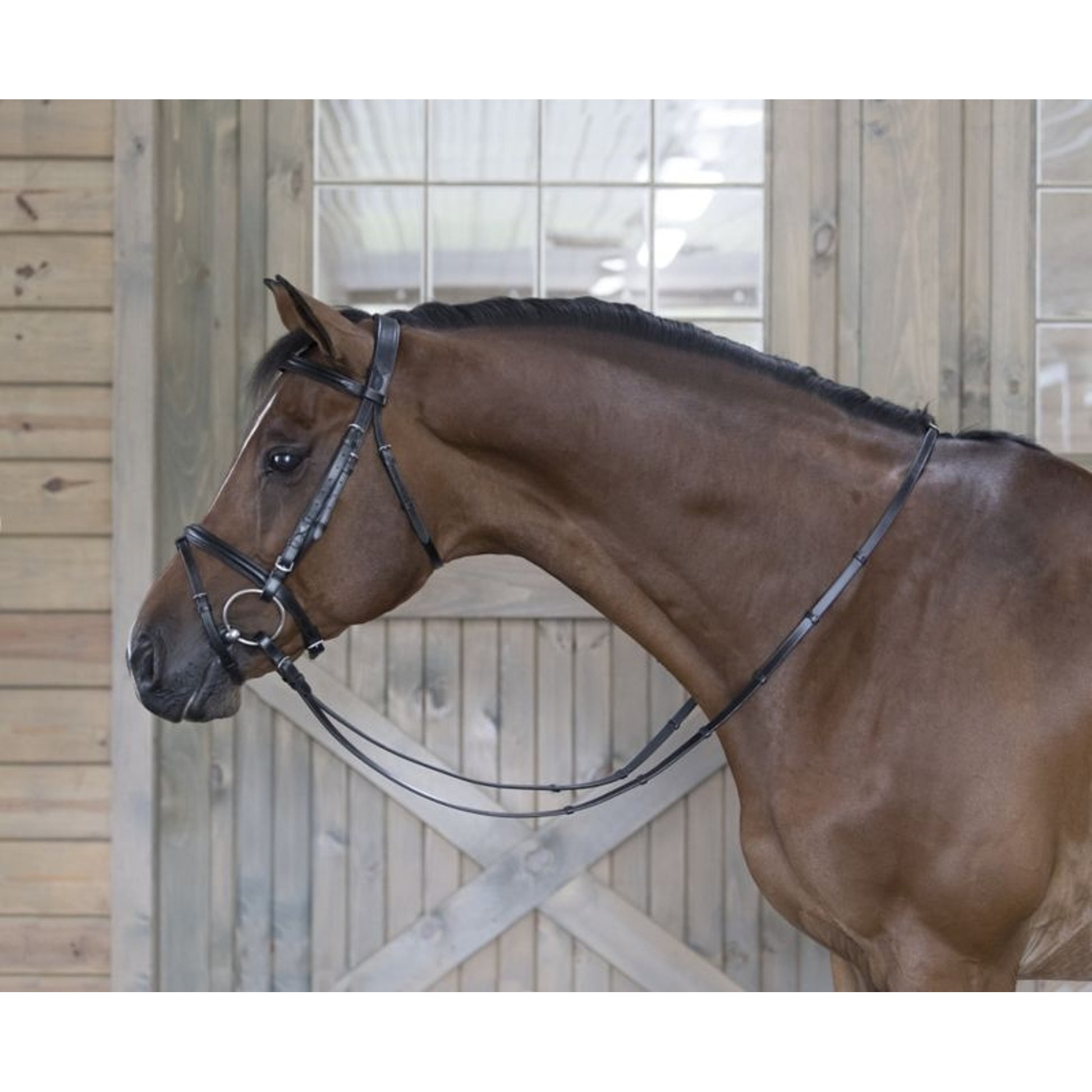 DaVinci Raised Pad Dressage Bridle/Flash