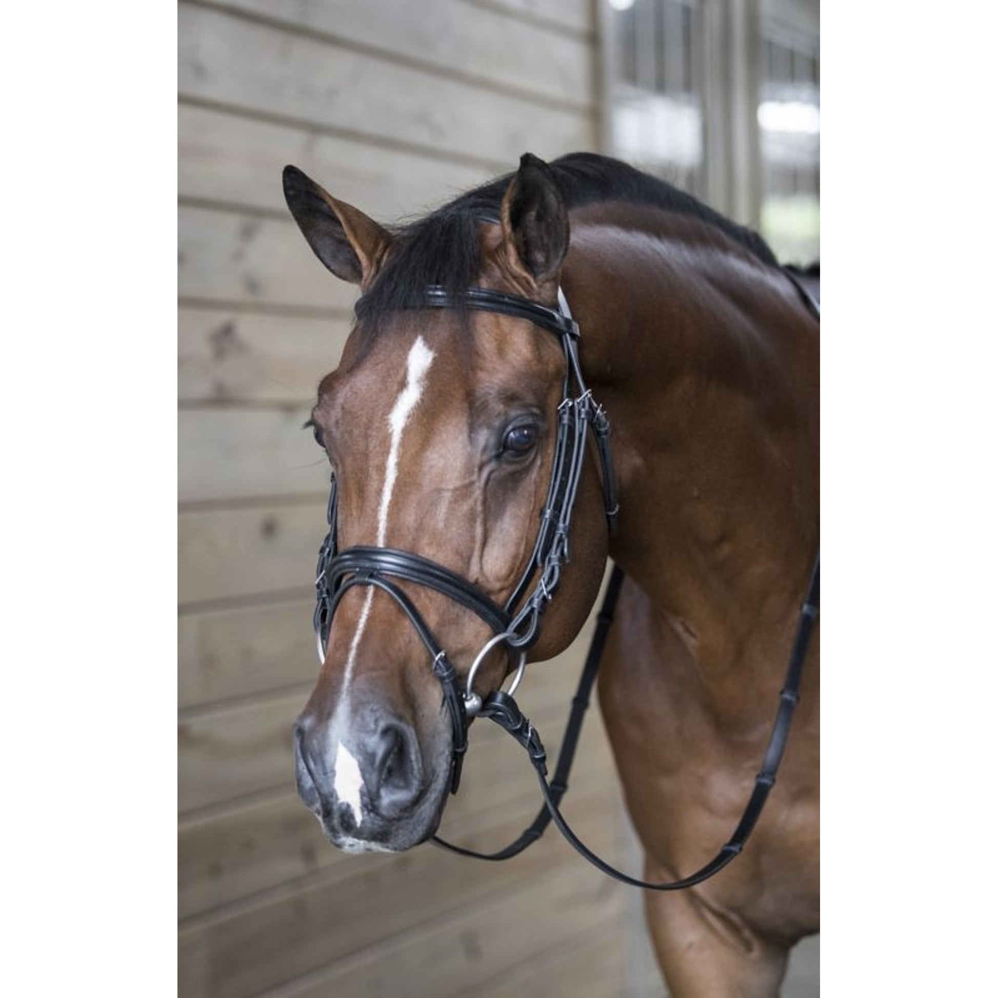 DaVinci Raised Pad Dressage Bridle/Flash