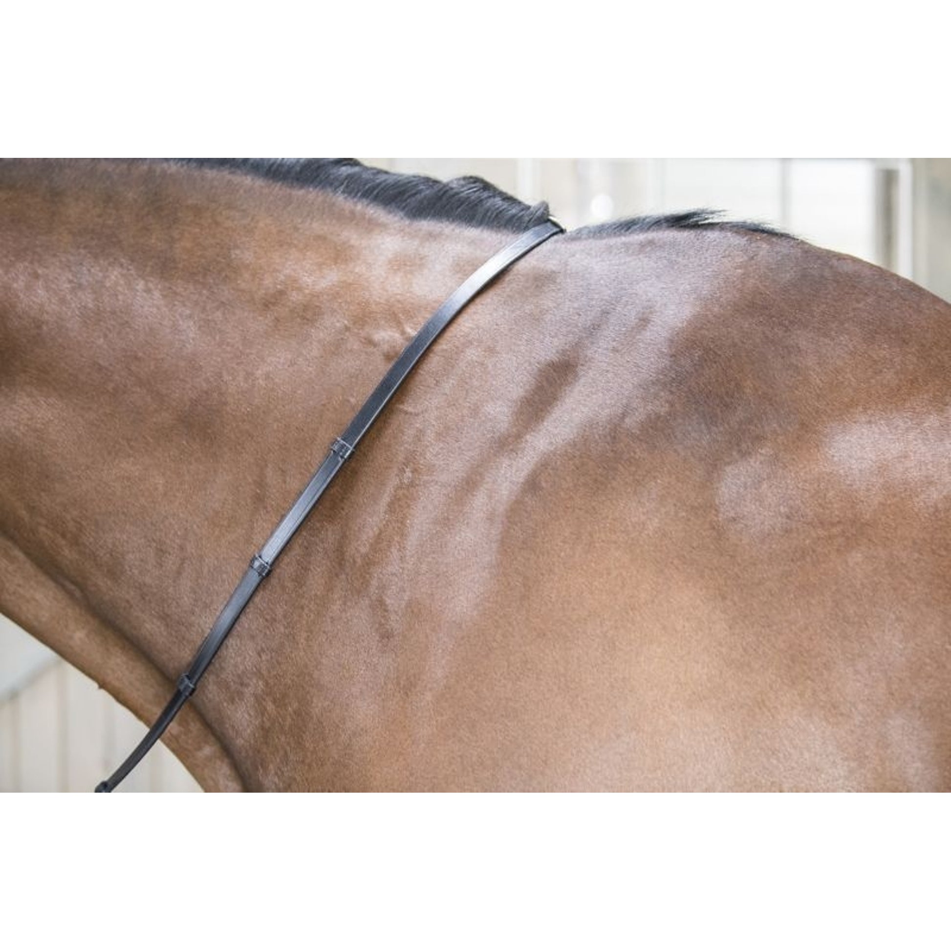 DaVinci Flat Leather Grip Reins