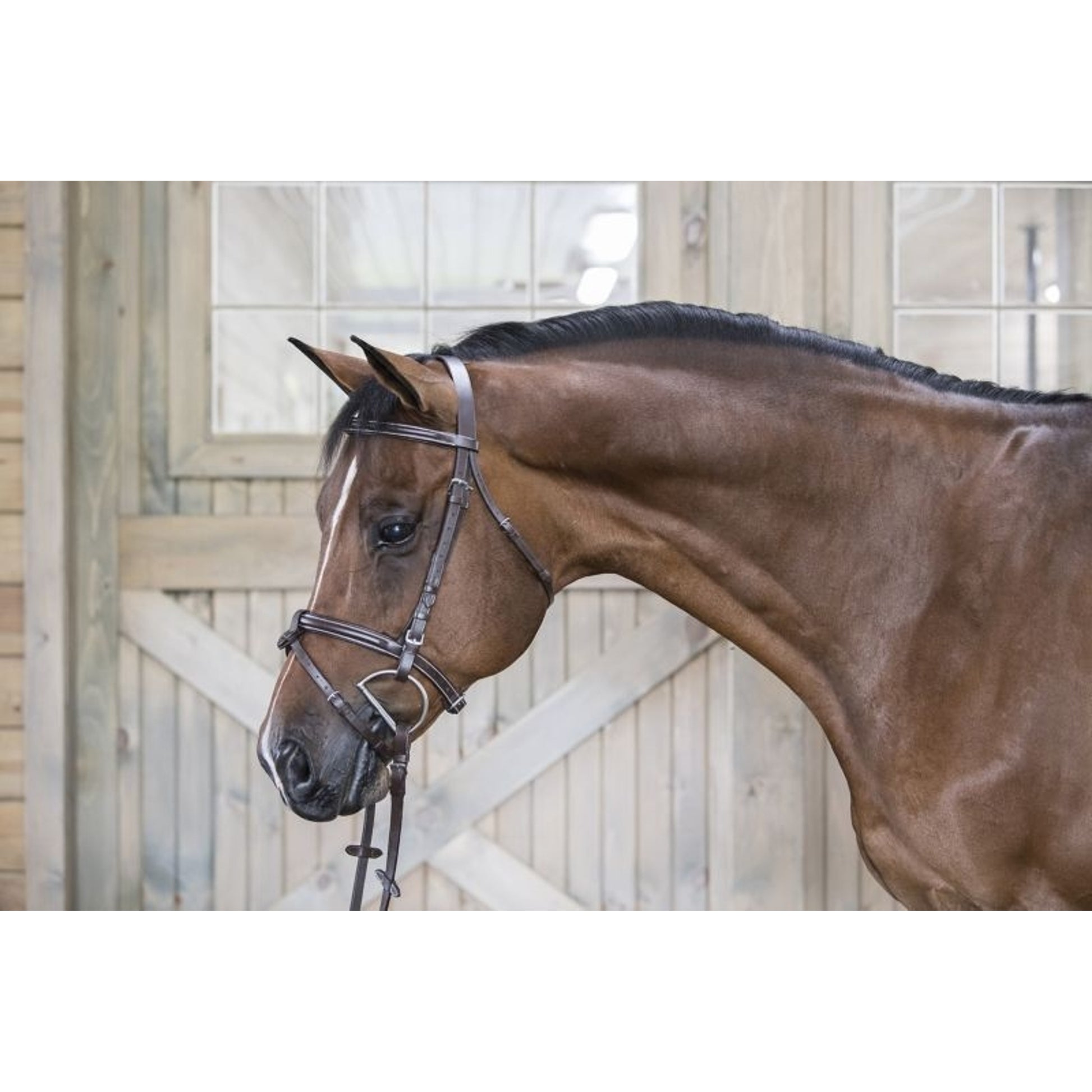 DaVinci Raise Event/Drsge Combo Bridle