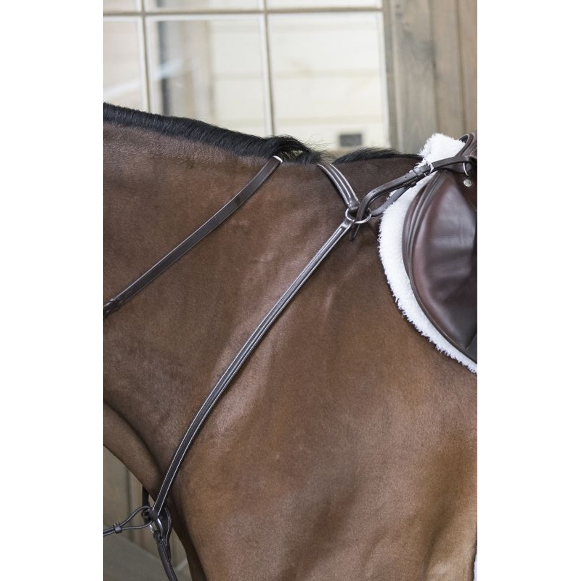 DaVinci Raised Breastplate Martingale