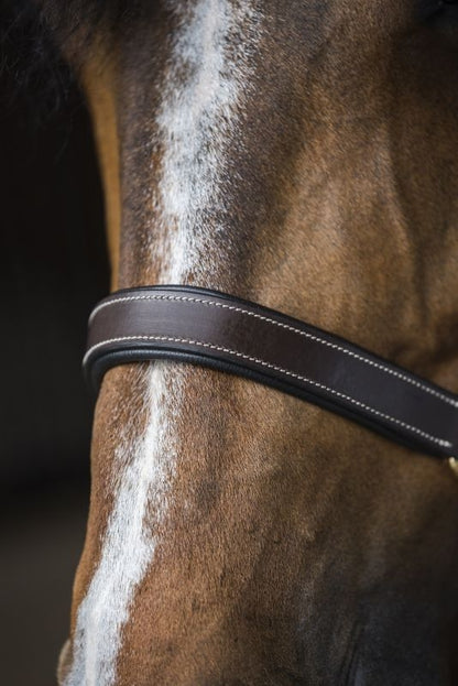Gatsby Fully Adjust Padded Leather Halter