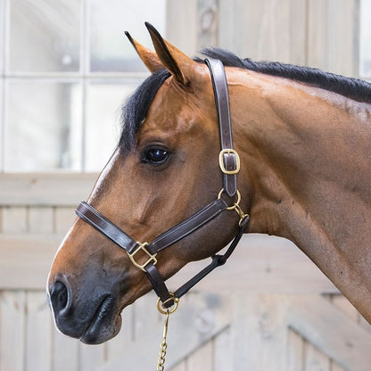 Gatsby Fully Adjust Padded Leather Halter