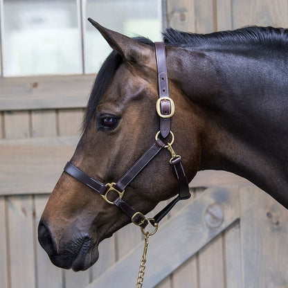 Gatsby Leather Turnout Halter with Snap