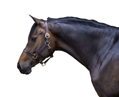 Gatsby Leather Turnout Halter with Snap