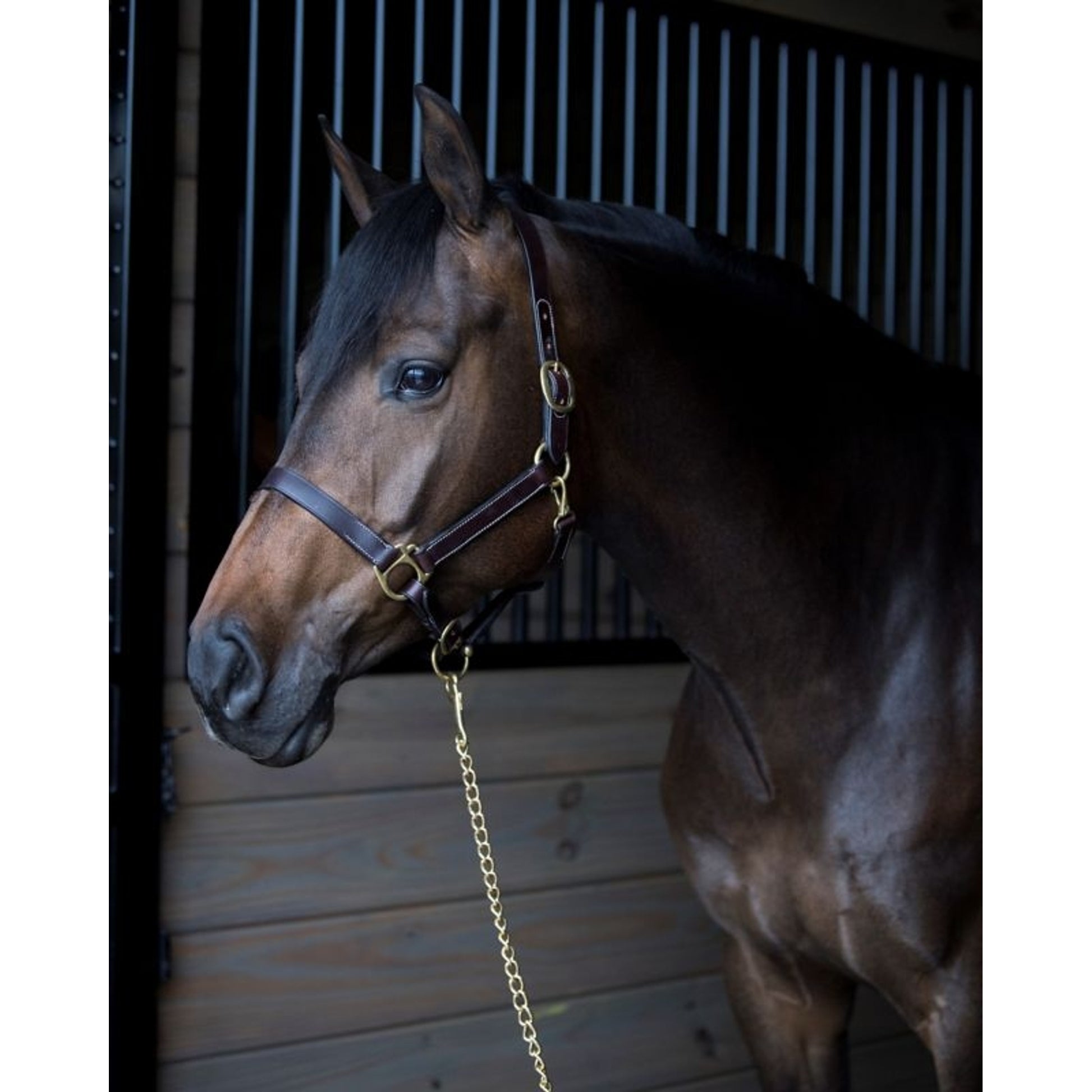 Gatsby Leather Turnout Halter with Snap
