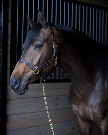 Gatsby Leather Turnout Halter with Snap