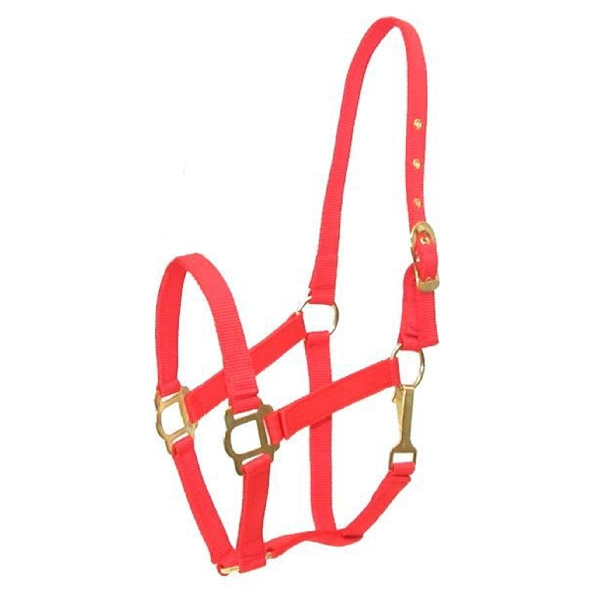 Gatsby Classic Nylon Halter/Snap