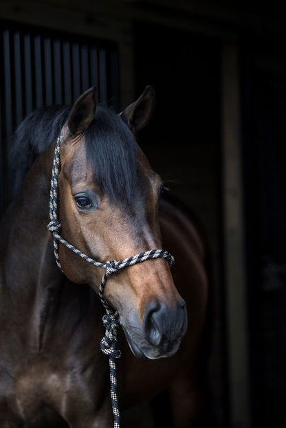 Gatsby Cowboy Rope Halter with Lead