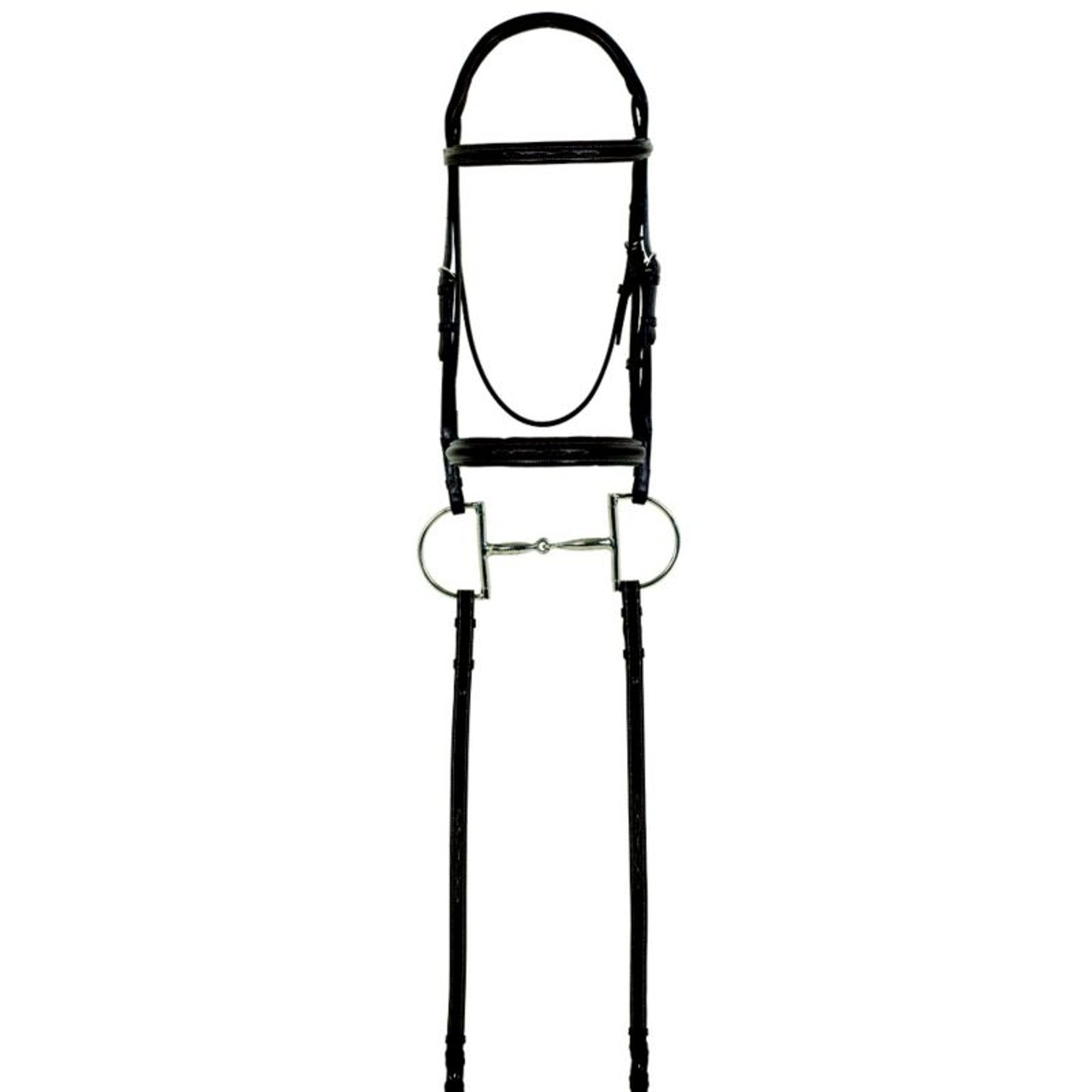 Camelot Fancy Raised Bridle
