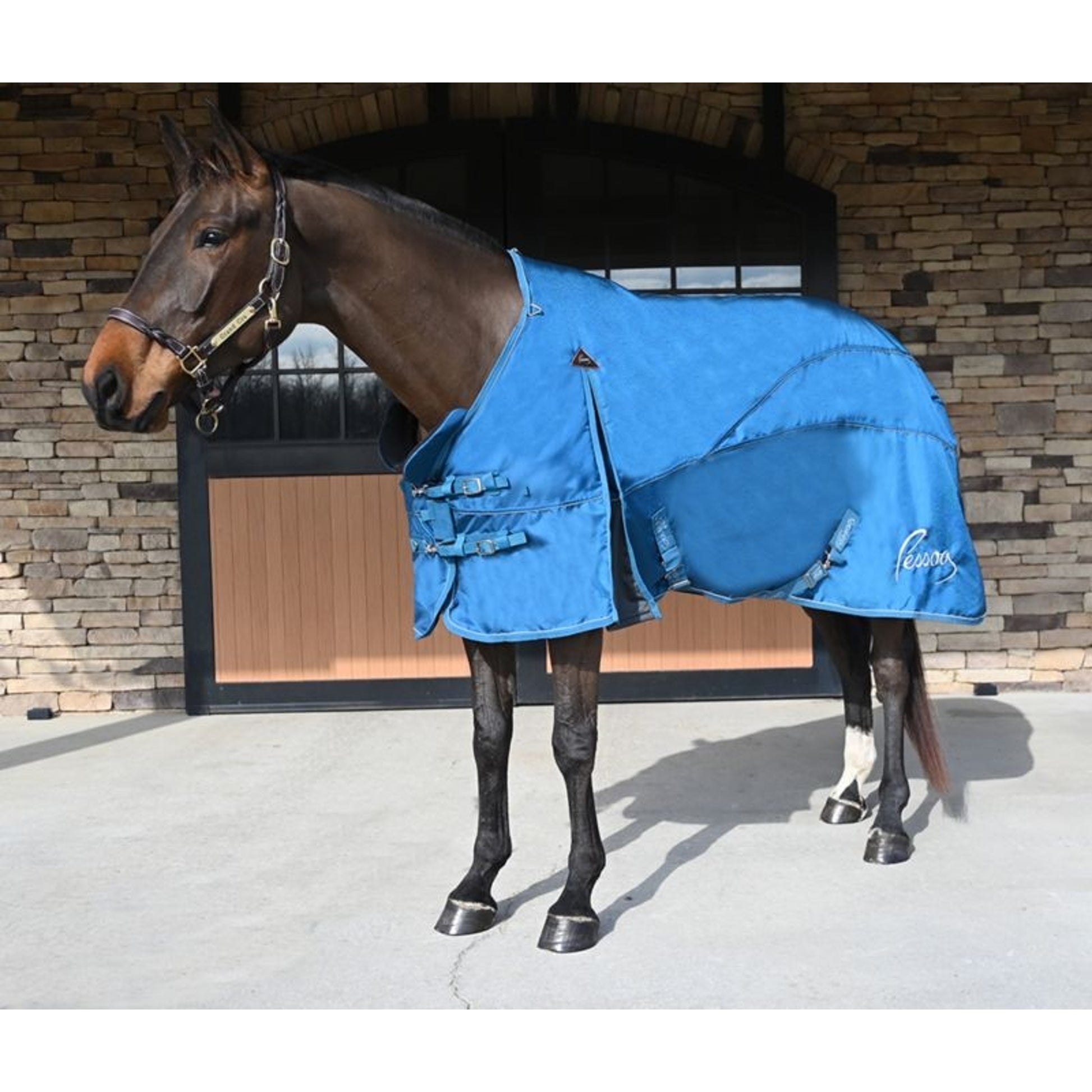 Camelot Neck Stretcher Pony Black